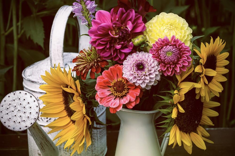 Schnittblumen_Pixabay