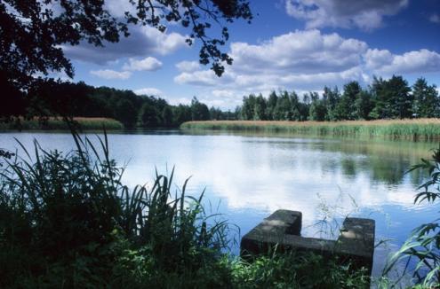 Pond "Großer Münsterteich" near Kreba (Photo: R. M. Schreyer)
